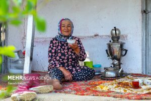 5032866 faezeh kaboli 15 - بهشت نگارستان ایران - سامانه ویکی تک پلاس