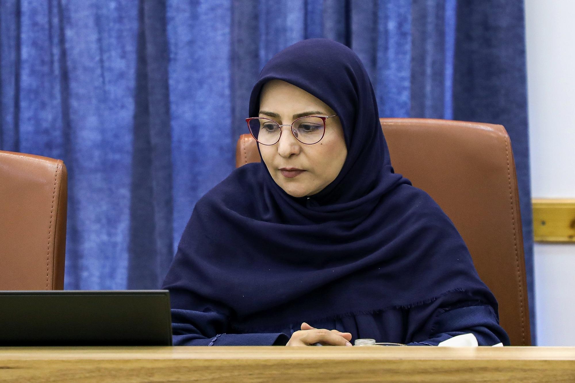 3P8A6095 - جلسه شورای معاونین با حضور معاون علمی رئیس‌جمهور - سامانه ویکی تک پلاس