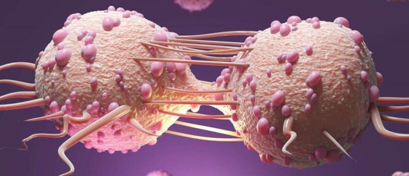 12434436_328 12434436_328