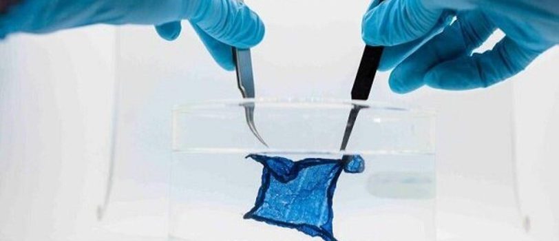 12945122_131 12945122_131