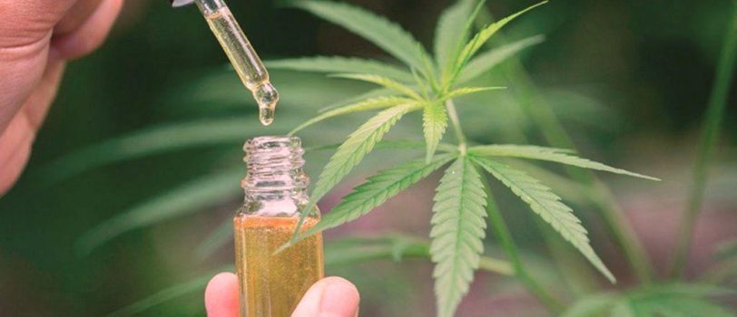 ۱۶۴۵۶۱۵۰۱ 164561501