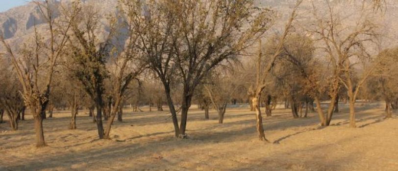 ۱۷۵۲۹۹۴۸۱۷-687c940155aca-rkiqf-photo19863989568 1752994817-687c940155aca-rkiqf-photo19863989568