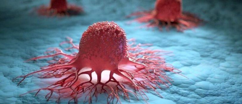 ۲۳۱۰۳۸-۷۶۸×۴۶۱ 231038-768x461