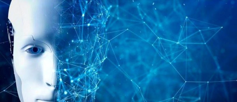 2606502_980 2606502_980