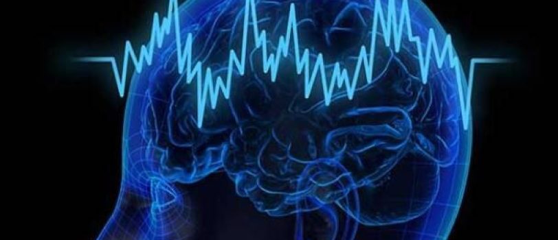 ۳۷۷۳۱۱۳ 3773113