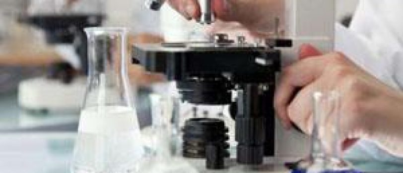 3877888_163 3877888_163