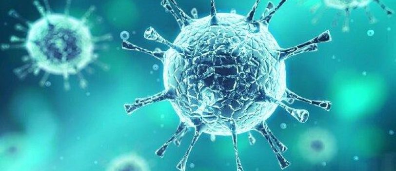 ۴۰۱۹۵۸۲ 4019582