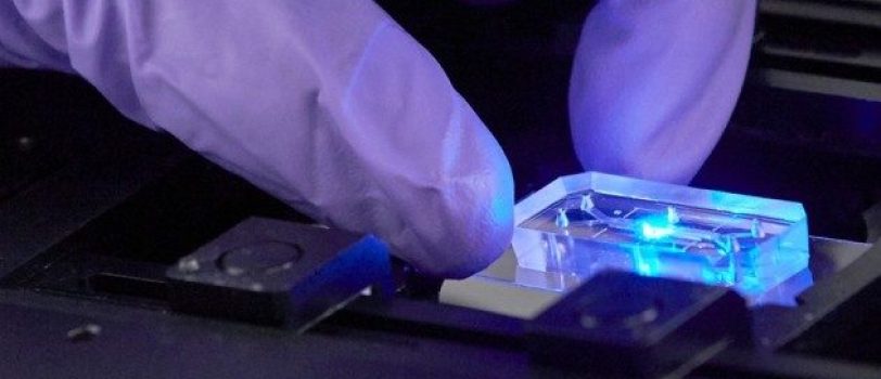 41586_2015_Article_BF523266a_Figa_HTML 41586_2015_Article_BF523266a_Figa_HTML