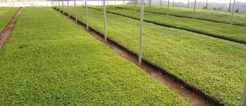 ۴۱۶۵۴۱۵ 4165415