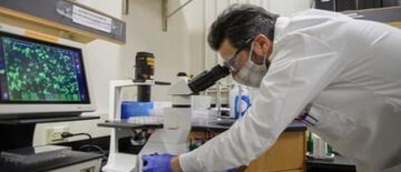 ۴۴۶۸۴۲۳ 4468423