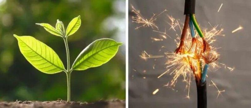 ۵۲۳۳۸۰۸ 5233808