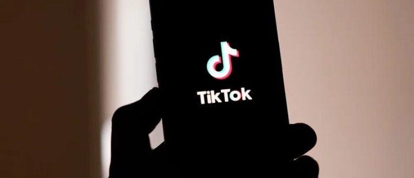 ۵۳۳۹۸۴۴ 5339844