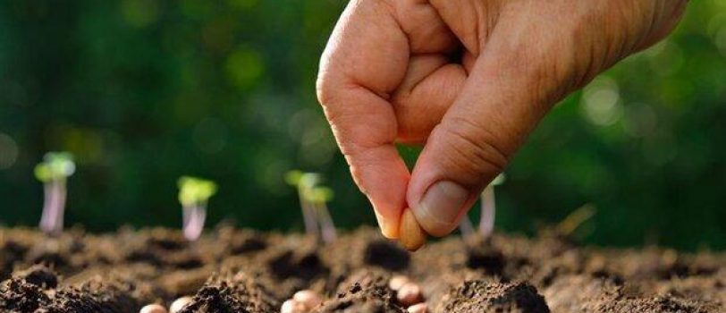 ۵۶۵۲۴۲۵ (۱) 5652425 (1)