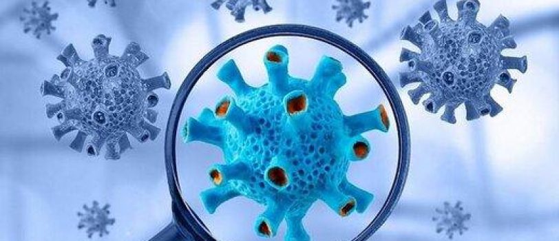 ۵۸۱۳۲۰۴ 5813204