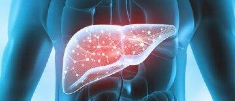 ۵۹۶۵۹۷۲ 5965972