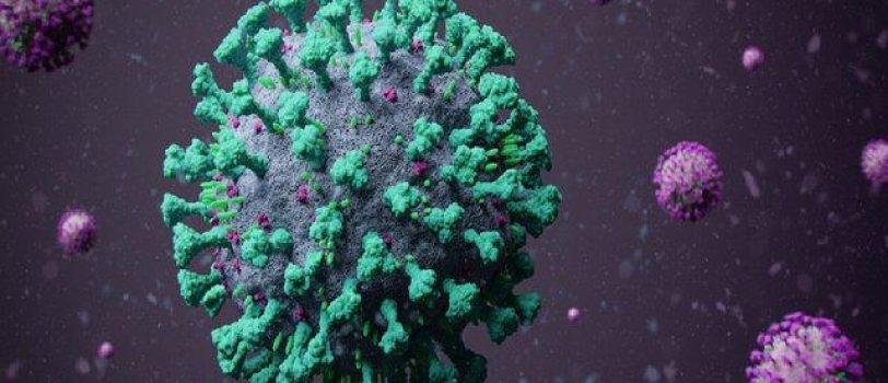 ۶۲۱۳۶۴۷۰ 62136470