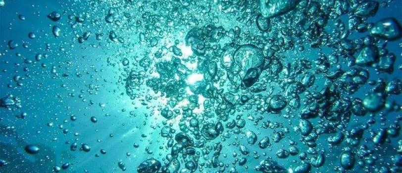 ۶۲۸۶۵۵۰۱ 62865501