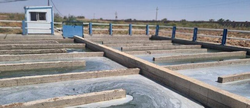 ۶۳۱۴۴۶۳۸ 63144638