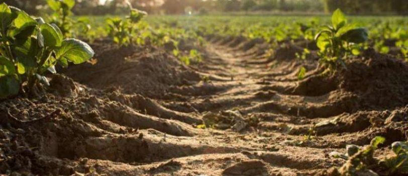 659594_564-۷۶۸×۵۱۲ 659594_564-768x512