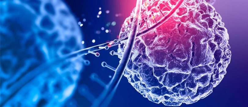 961188_964 961188_964