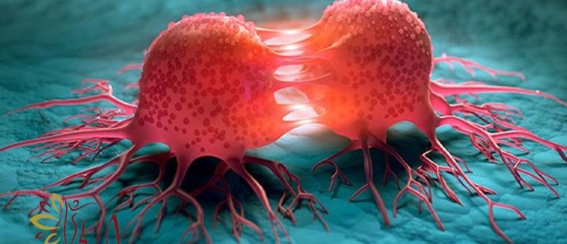 Cervical-cancer-prevention-methods Cervical-cancer-prevention-methods