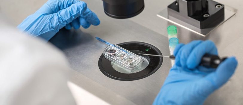 Dedicated-bank Dedicated-bank