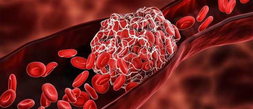 aHR0cDovL3Nubi5pci8vZmlsZXMvZmEvbmV3cy8xNDAxLzEwLzEyLzE4NjczNDhfMTI4LmpwZw aHR0cDovL3Nubi5pci8vZmlsZXMvZmEvbmV3cy8xNDAxLzEwLzEyLzE4NjczNDhfMTI4LmpwZw