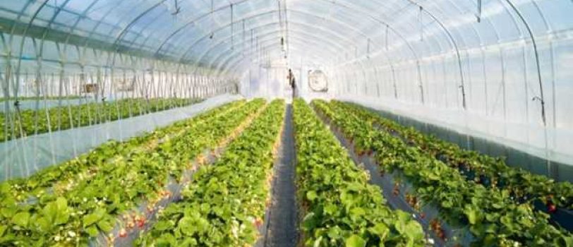 aHR0cHM6Ly9tZWRpYS5mYXJzbmV3cy5pci9VcGxvYWRlZC9GaWxlcy9JbWFnZXMvMTQwMS8wNy8yNy8xNDAxMDcyNzAwMDkxMl9UZXN0X1Bob3RvTi5qcGc= aHR0cHM6Ly9tZWRpYS5mYXJzbmV3cy5pci9VcGxvYWRlZC9GaWxlcy9JbWFnZXMvMTQwMS8wNy8yNy8xNDAxMDcyNzAwMDkxMl9UZXN0X1Bob3RvTi5qcGc=