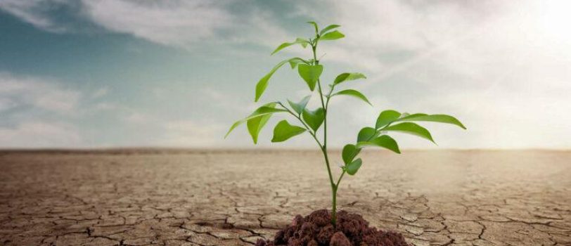 bohrane-ab-768×545 bohrane-ab-768x545