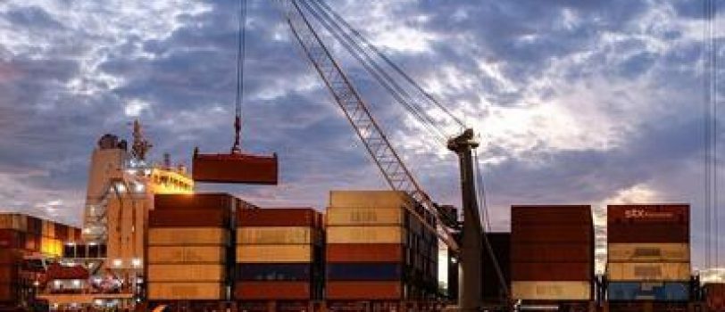 irna-oosl1 irna-oosl1