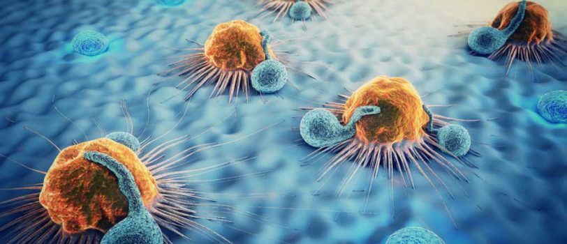 japan-invents-cancer-metastasis-pattern-contraption-1160×700-1-1030×622-1 japan-invents-cancer-metastasis-pattern-contraption-1160x700-1-1030x622-1