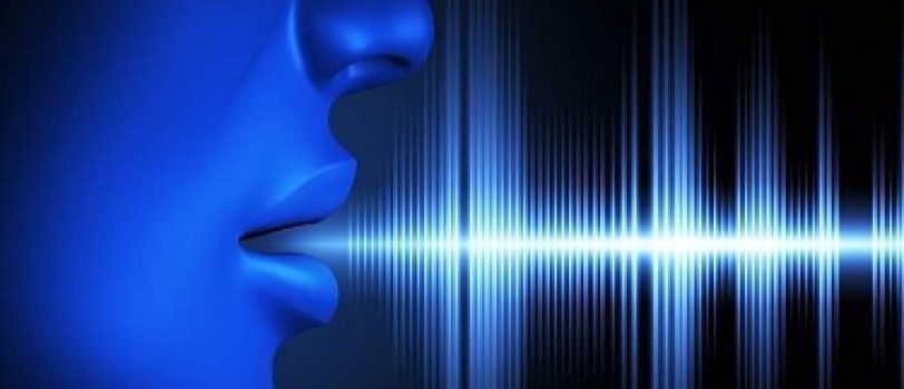 n00055846-b n00055846-b