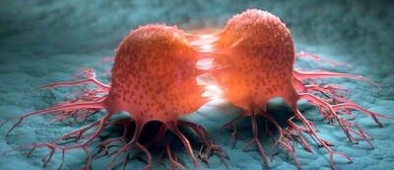 rokna-ooyf2 rokna-ooyf2